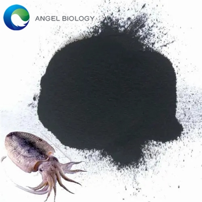 what is squid ink powder used for